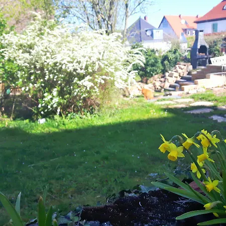 Cozy In Stuttgart-sued, Suesse, Komplett Ausgestattete Studio-wohnung Mit Wlan, Kostenfreiem Parken An Der Strasse Apartment