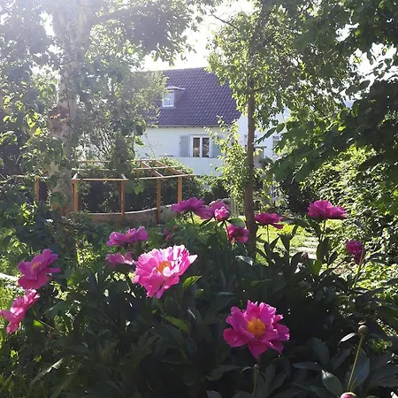 Cozy In Stuttgart-sued, Suesse, Komplett Ausgestattete Studio-wohnung Mit Wlan, Kostenfreiem Parken An Der Strasse *