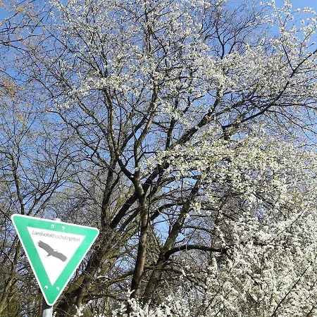 Cozy In Stuttgart-sued, Suesse, Komplett Ausgestattete Studio-wohnung Mit Wlan, Kostenfreiem Parken An Der Strasse Stuttgart